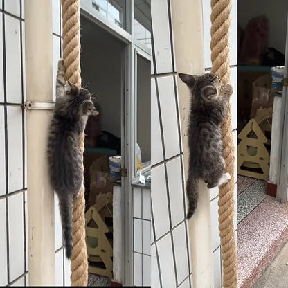 Cat climbing rope with hook ceiling wall mounted kitten scratching post climbing rope toy, suitable for indoor and outdoor cats