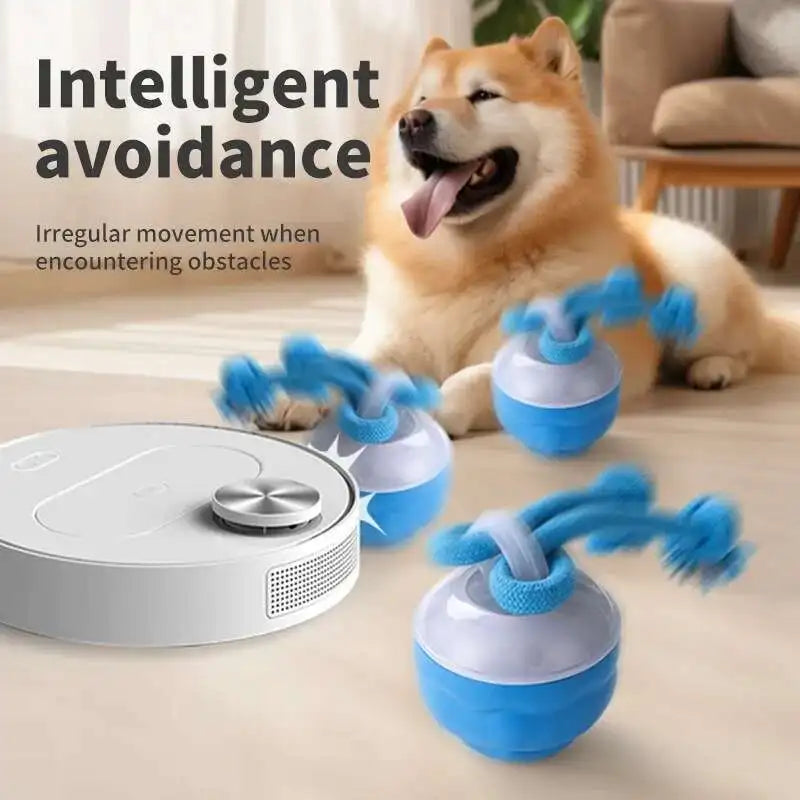 Interactive Dog Toys Smart Rolling Ball With Rope Motion Activated Automatic Moving Squeaky Dog Training Puppy Chew Toy Balls Beauty World Shop