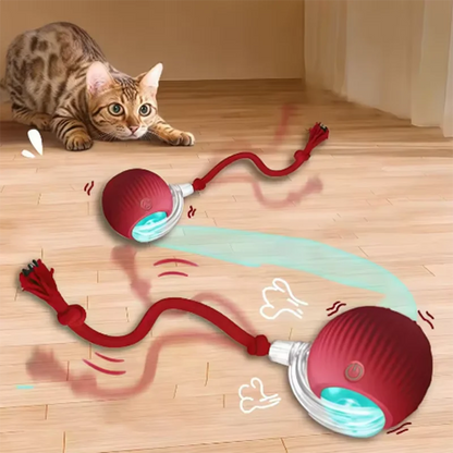 Hot cat toys are automatically teasing cat balls and self-exciting cat sticks and ticks and resistant to wear and bite pet toys Beauty World Shop