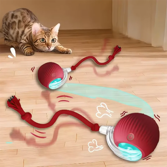 Hot cat toys are automatically teasing cat balls and self-exciting cat sticks and ticks and resistant to wear and bite pet toys Beauty World Shop