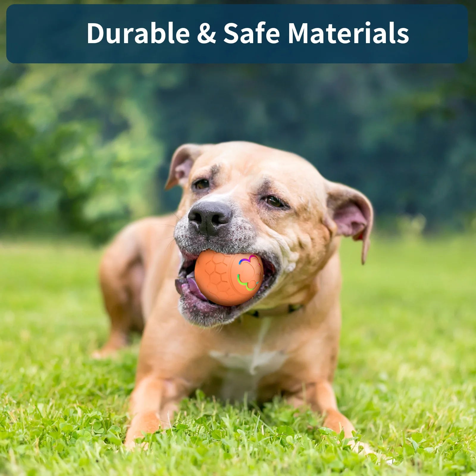 Smart Dog Toy Ball Electronic Interactive Pet Toy Ball USB Automatic Bouncing Rolling Toy Ball With RGB Lights Puppy Cat Product Beauty World Shop