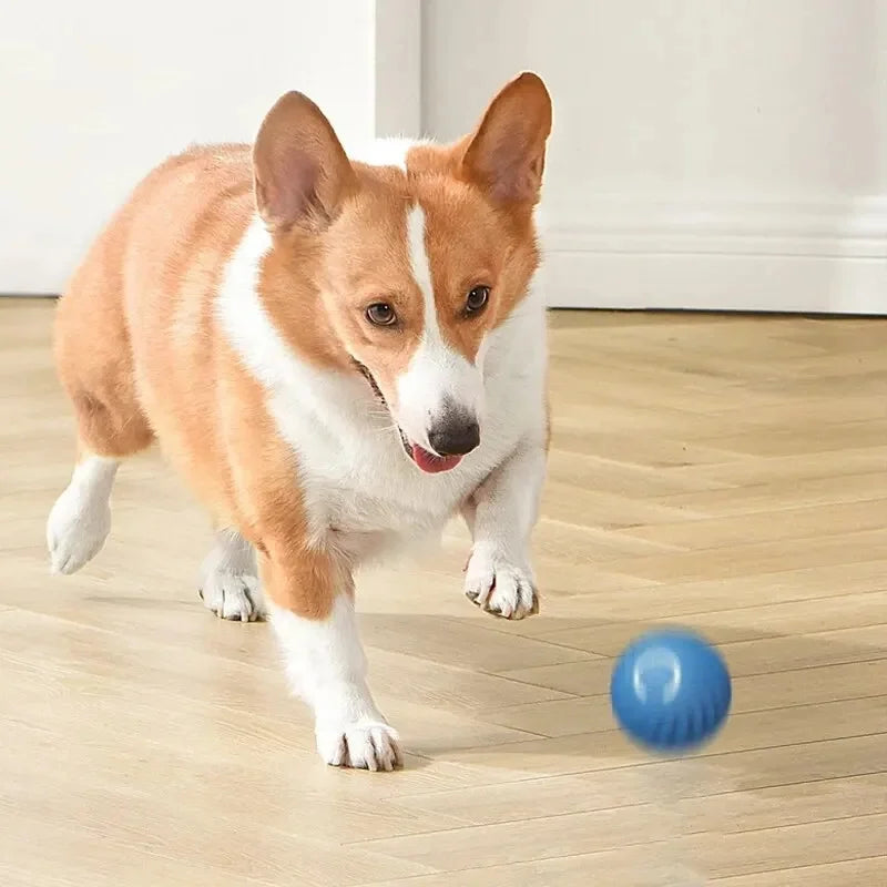 Smart Dog Toy Ball Electronic Interactive Pet Toy Moving Ball USB Automatic Moving Bouncing for Puppy Birthday Gift Cat Products Beauty World Shop