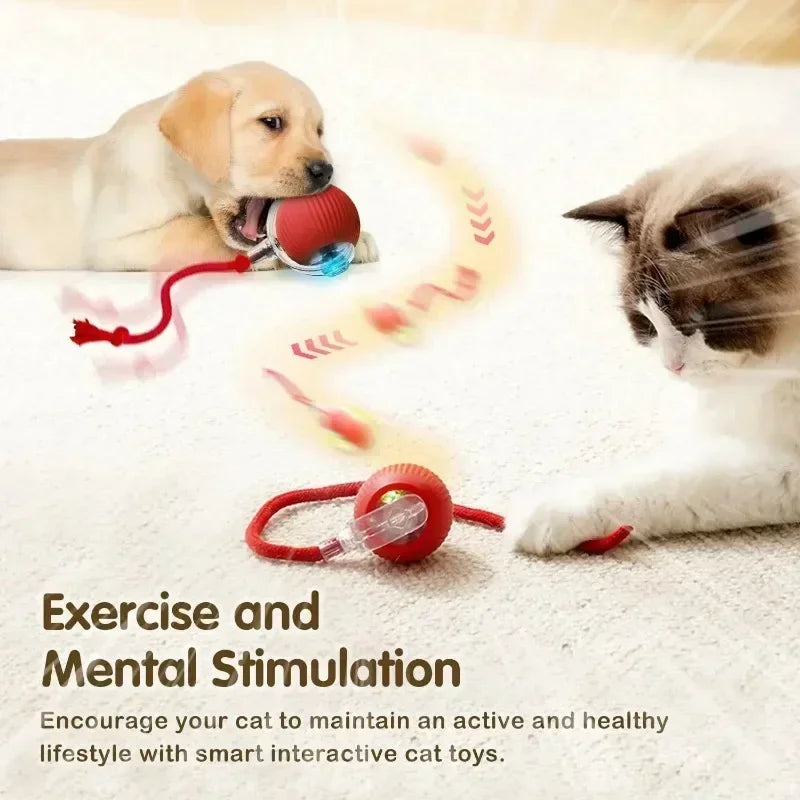 Cat Interactive Ball Toy, Automatic Rolling Ball with Tail, Rechargeable Smart Pet Interactive Toy, Intelligent Mouse for Cat Beauty World Shop