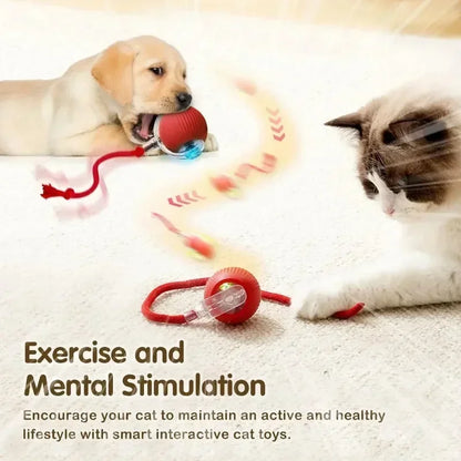 Cat Interactive Ball Toy, Automatic Rolling Ball with Tail, Rechargeable Smart Pet Interactive Toy, Intelligent Mouse for Cat Beauty World Shop