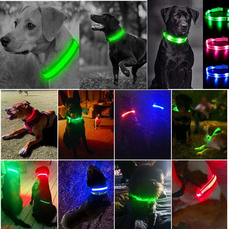 Usb Charging Glowing Dog Collar With Pendant Detachable Luxury Led Light Bright For Small Dogs Cat Night Safety Collar Wholesale Beauty World Shop