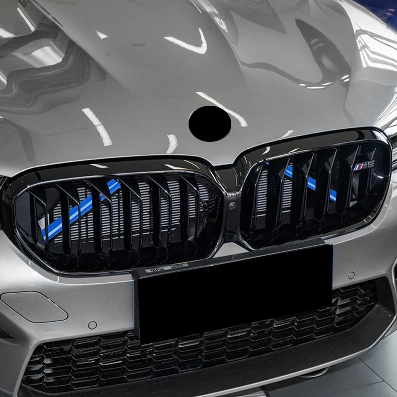 Car Front Grille Trim Strips For BMW 3 4 Series E21 E30 E36 E46 E90 E91 E92 E93 F30 F31 F34 F35 G20 G21 G28 External Accessories Beauty World Shop