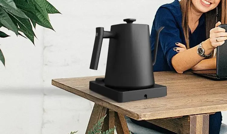 1200W Gooseneck Electric Kettle with Temperature Control Electric Kettle for Coffee and Tea Kettle Coffee Pot 110v/220v Beauty World Shop