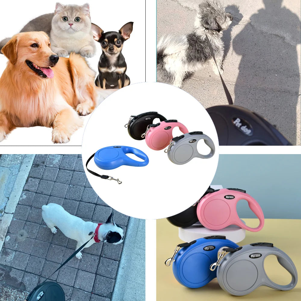 Pet Dog Leash for Small Medium Dogs Cats Walking Automatic Retractable Extending Puppy Solid Roulette Chihuahua Bulldog Supplies Beauty World Shop