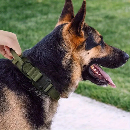 Heavy Duty Tactical Dog Collars with Handle Military Collar with Patch Outdoor Training and Walking for Medium and Large Dogs Beauty World Shop
