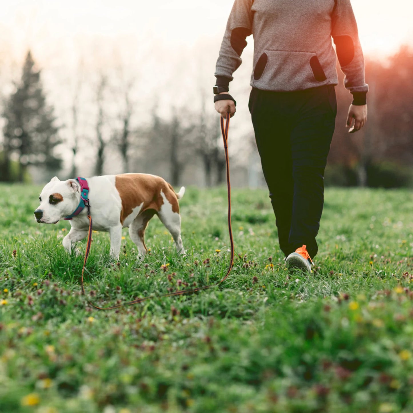 1.5M 2M 3M 15M Medium small Long Dog Leash 10M Latex Silk Easy and Convenient Light Training Big Dog Leashes 5 meter