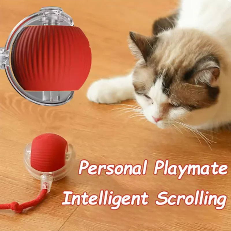 Hot cat toys are automatically teasing cat balls and self-exciting cat sticks and ticks and resistant to wear and bite pet toys Beauty World Shop