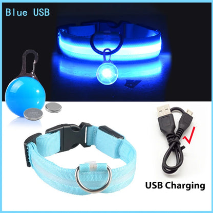 Usb Charging Glowing Dog Collar With Pendant Detachable Luxury Led Light Bright For Small Dogs Cat Night Safety Collar Wholesale Beauty World Shop