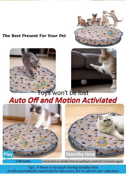 Cat toy ball fast rolling bag cat toy simulation hunting interactive hunting cover suitable for indoor play