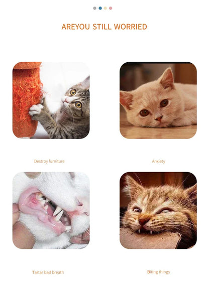 Cat Toy Carrot Sound Pet Products Bite Resistant Paper Rope Scratcher Clean Teeth Interactive Play Cat Carrot Chew Toy for Cat Beauty World Shop