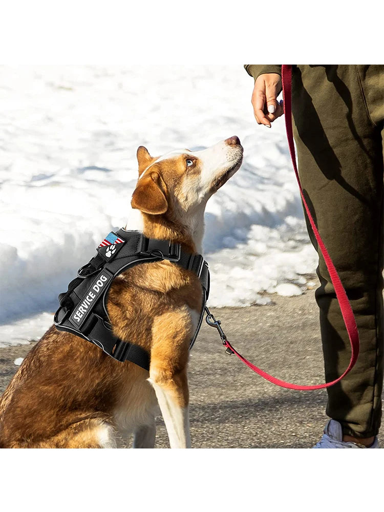 Service Dog Harness, Reflective Dog Vest Harness with 5 PCS Patches, Adjustable Soft Oxford Pet Harness, Inner Layer Mesh, Easy Beauty World Shop