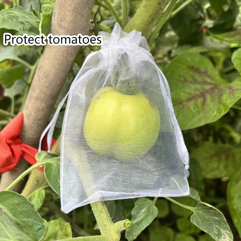 50Pcs Grapes Fruit Protection Bags Pest Control Anti-Bird Garden Netting Bags Mesh Agricultural Tree Garden Tool Bags Beauty World Shop
