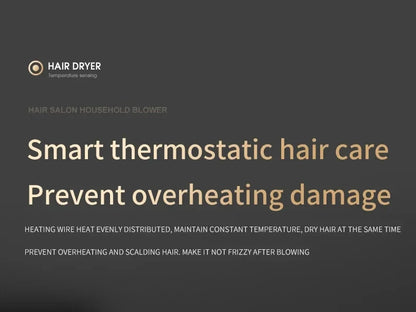 HOMEFISH 2000W Salon Hair Dryer with Hot/Cold Air Brush Negative Ionic Technology 5th Gear Strong Power Hairdryer without Comb Beauty World Shop