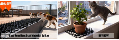 Bird Spikes Repellent Supplies Against Pigeons Crows Repeller Outdoor Defense Scare Birds Garden Scarecaper Outside Anti Gadgets Beauty World Shop
