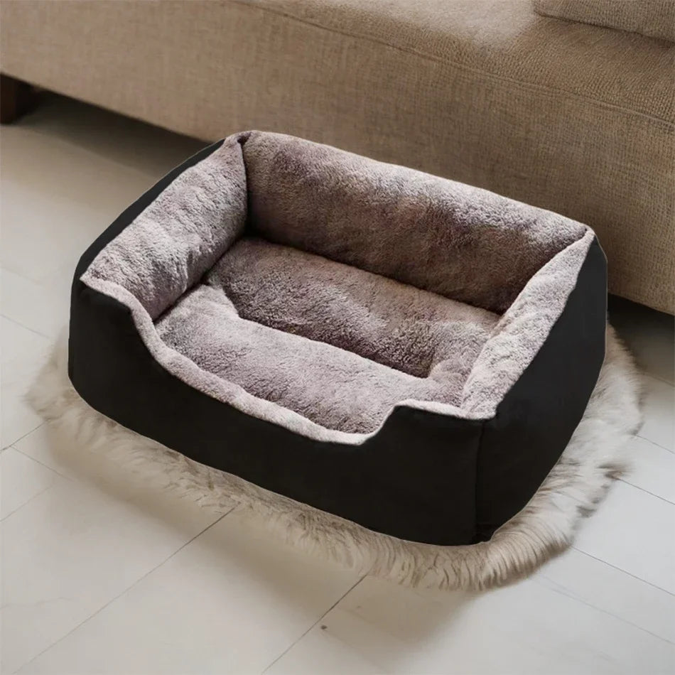 Bed for Cats Pet Products Cushions Kitten Goods Accessories Dog All Home Supplies Things Accessory Habitats Basket House Beds Beauty World Shop