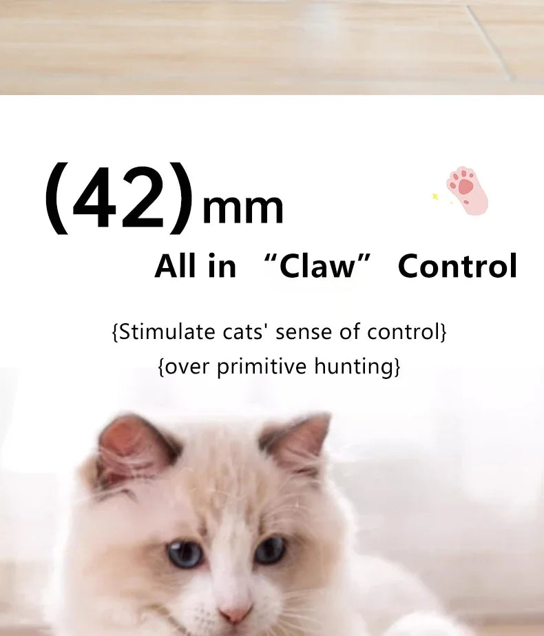 Spin Ball Things for Cats Toys Electric Interactive USB Charging Cat Ball Toy Cat and Dog Accessories Pet Cat's Supplies Home Beauty World Shop