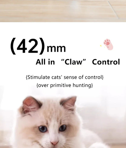 Spin Ball Things for Cats Toys Electric Interactive USB Charging Cat Ball Toy Cat and Dog Accessories Pet Cat's Supplies Home Beauty World Shop