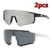 2pcs z19