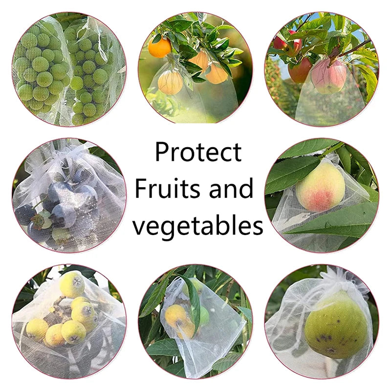 50Pcs Grapes Fruit Protection Bags Pest Control Anti-Bird Garden Netting Bags Mesh Agricultural Tree Garden Tool Bags Beauty World Shop