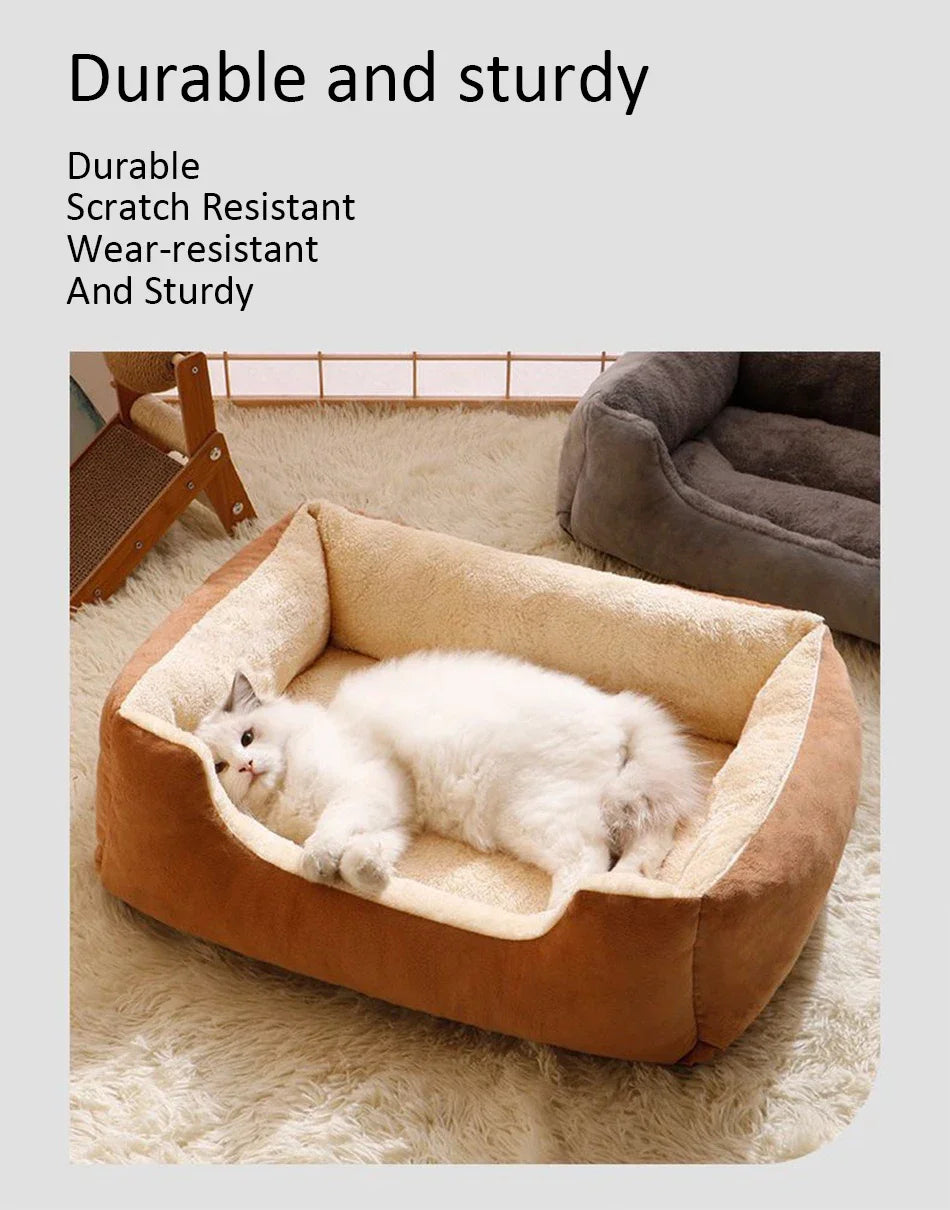 Bed for Cats Pet Products Cushions Kitten Goods Accessories Dog All Home Supplies Things Accessory Habitats Basket House Beds Beauty World Shop