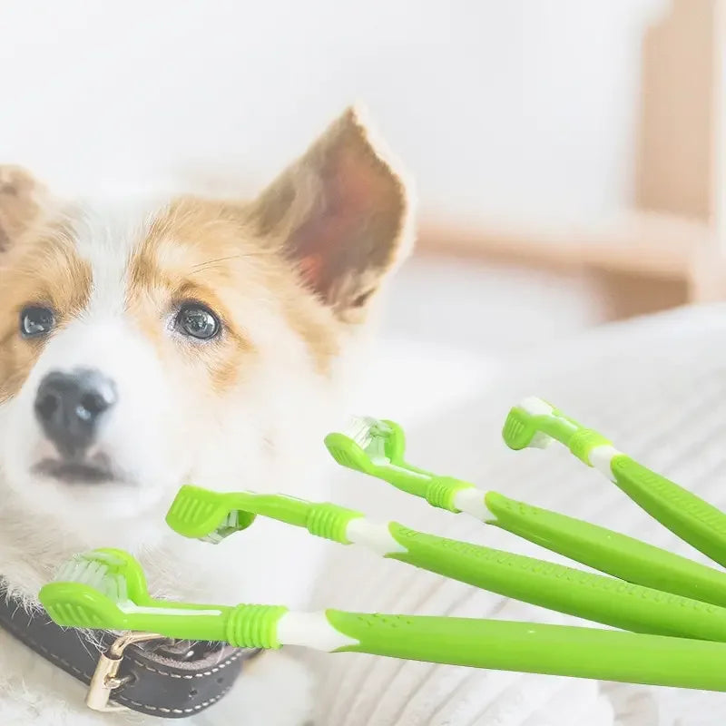 1Pc Pet Toothbrush Dog Cleaning Mouth Toothbrush Three Sided Multiangle Cleaning Tartar Teeth Health Care Tool Pet Supplies Beauty World Shop