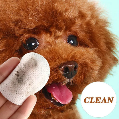 Pet Eye Wipes Cats And Dogs Tearmark Wet Wipes Cats And Dogs Universal No Irritation Cleaning Products 130 Canned Wipes Beauty World Shop