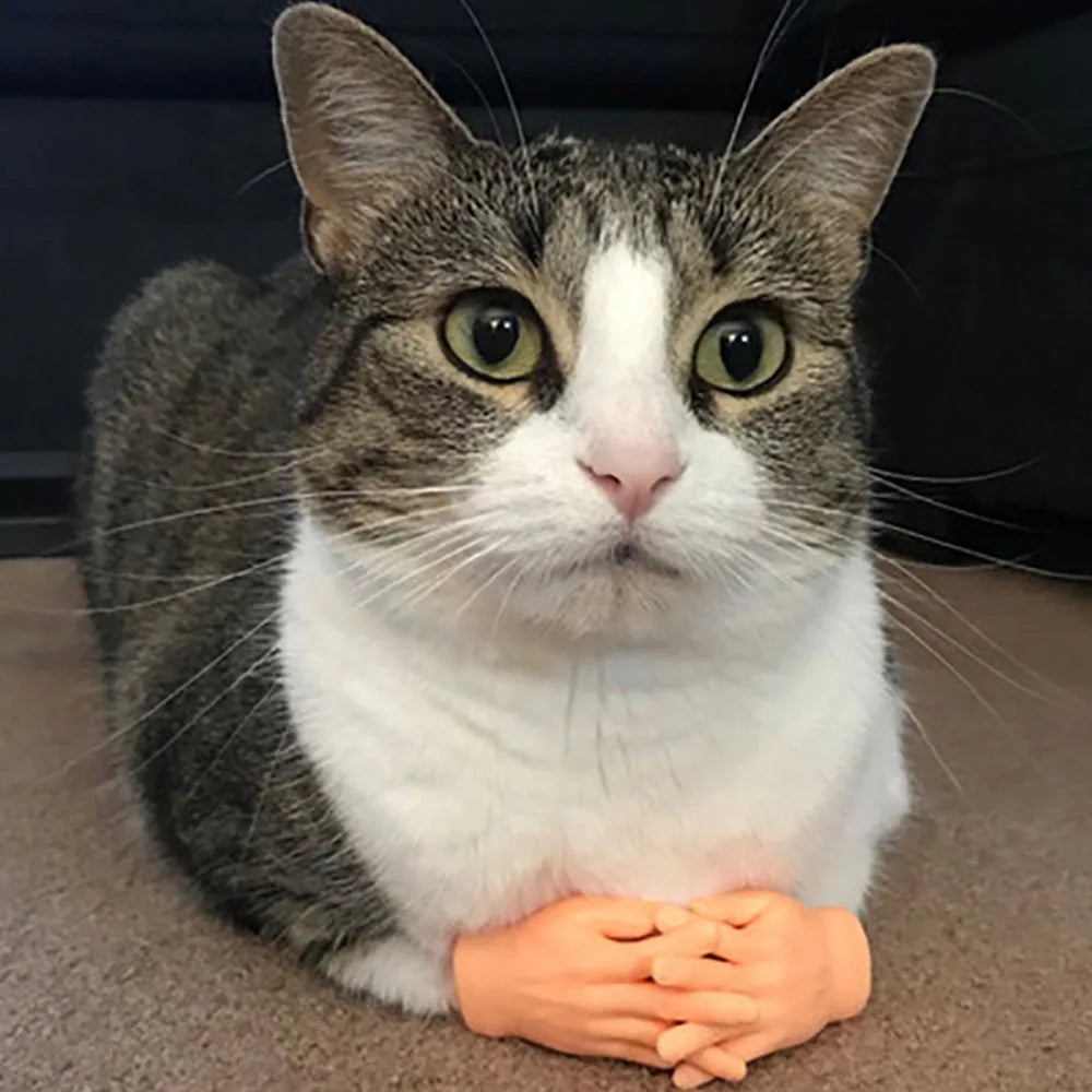 Cat fun toy Small gloves Cat finger Sleeve mini hand model silicone small gloves Cat massage tools Pet cat toy Halloween gift Beauty World Shop