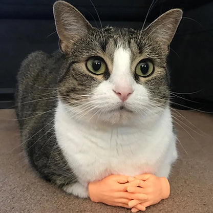 Cat fun toy Small gloves Cat finger Sleeve mini hand model silicone small gloves Cat massage tools Pet cat toy Halloween gift Beauty World Shop