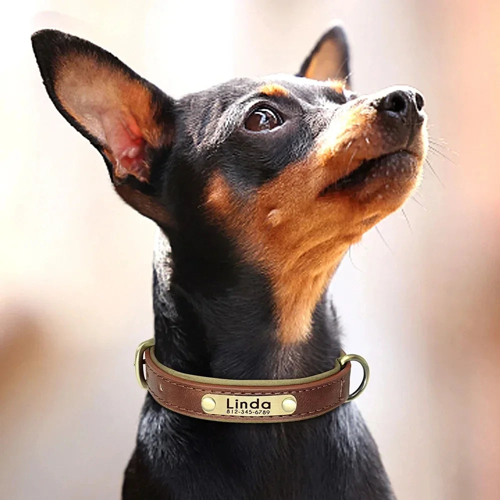 Personalized Customized Leather ID Nameplate Dog Collar Soft Padded Dogs Collars Free Engraving Name for Small Medium Large Dogs Beauty World Shop