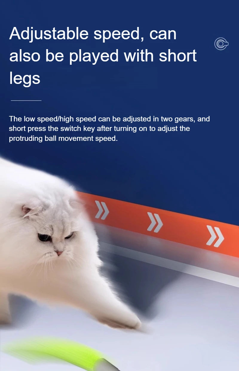 Cats Interactive Ball Toys, Automatic Rolling Ball with Faux Tail,USB Rechargeable SmartElectric Pet Toy for Teaser and Training Beauty World Shop