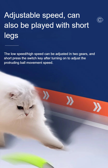 Cats Interactive Ball Toys, Automatic Rolling Ball with Faux Tail,USB Rechargeable SmartElectric Pet Toy for Teaser and Training Beauty World Shop