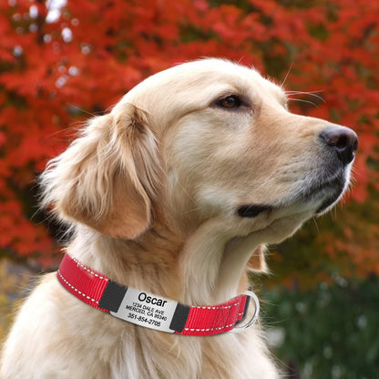 Reflective Personalized Dog Collar Engrave ID Nylon Collars Soft Padded Dogs Collar Adjustable for Small Medium Large Dogs Pug