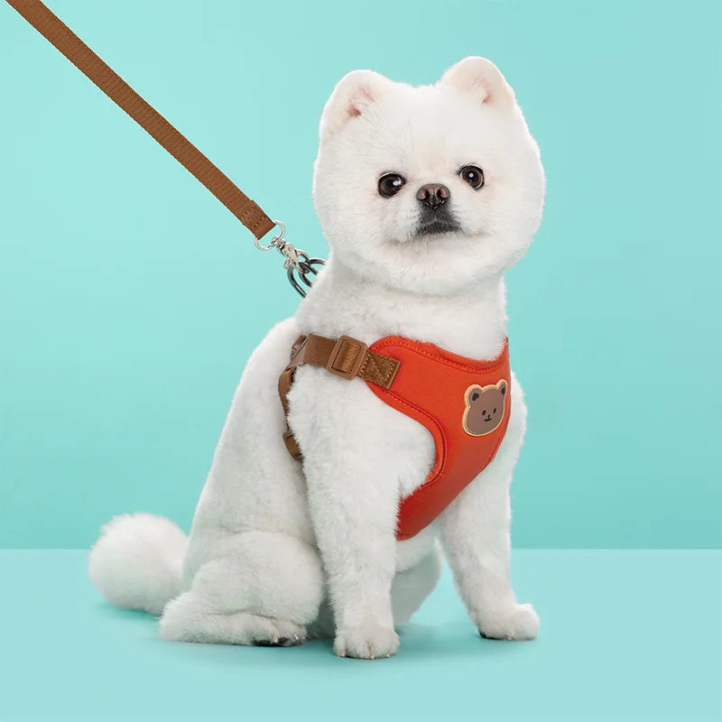 Pet Dog Harness Leash Set Small Medium Dog Cat Vest Breathable Puppy Chest Strap French Bulldog Chihuahua Harness Pet Supplies Beauty World Shop