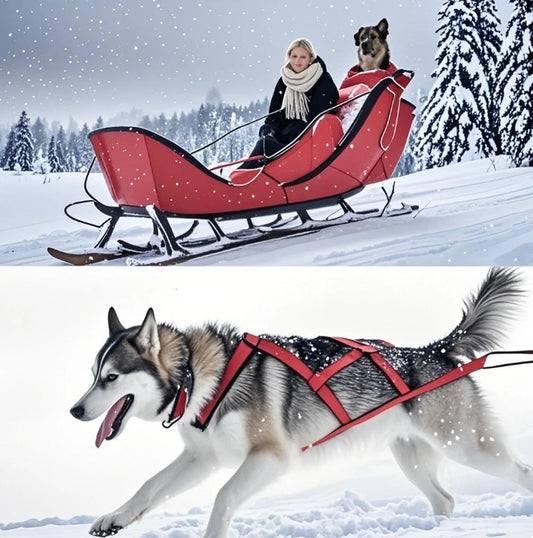 Dog Outdoor Sled Chest Strap Dog Weight Training Traction Strap Husky Samo Snowboard Traction Rope