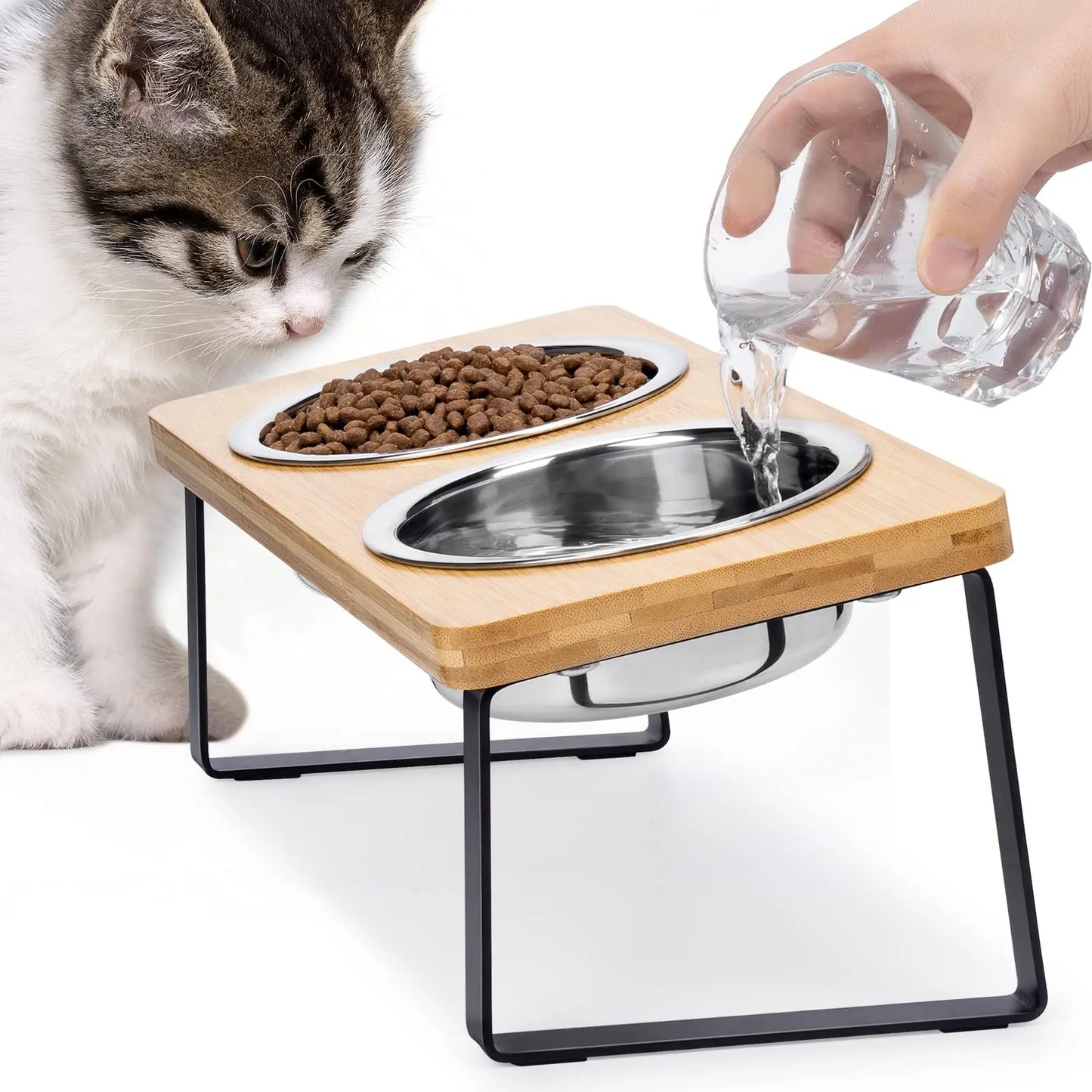 Elevated Cat Bowls Pet Feeder 15° Tilted Raised Cat Food Bowls with Wooden Stand 2 Stainless Steel Bowls for Cats and Puppy Beauty World Shop
