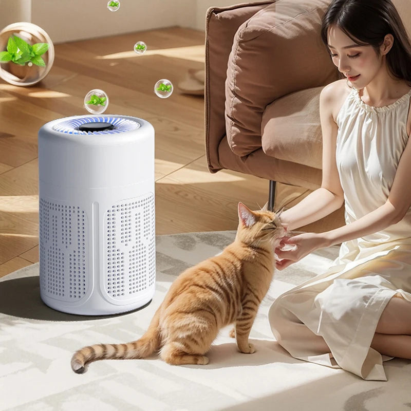 Mini Desktop Air Purifier HEPA Filter With Negative Ion Technology Eliminates Formaldehyde Odors Smoke And Dust Particles Beauty World Shop