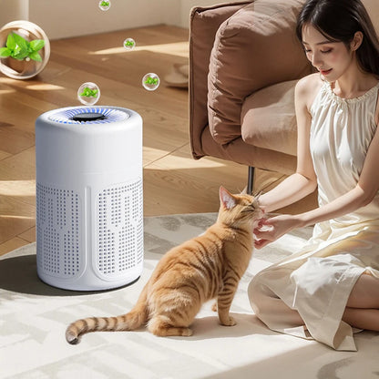 Mini Desktop Air Purifier HEPA Filter With Negative Ion Technology Eliminates Formaldehyde Odors Smoke And Dust Particles Beauty World Shop