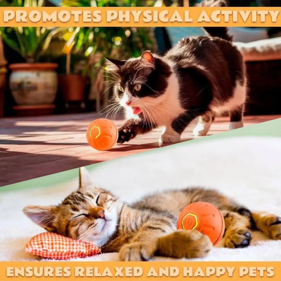 Pet toys Gravity Electric Amusement Pet Ball Smart Bouncing Ball For Dogs and Cats Beauty World Shop
