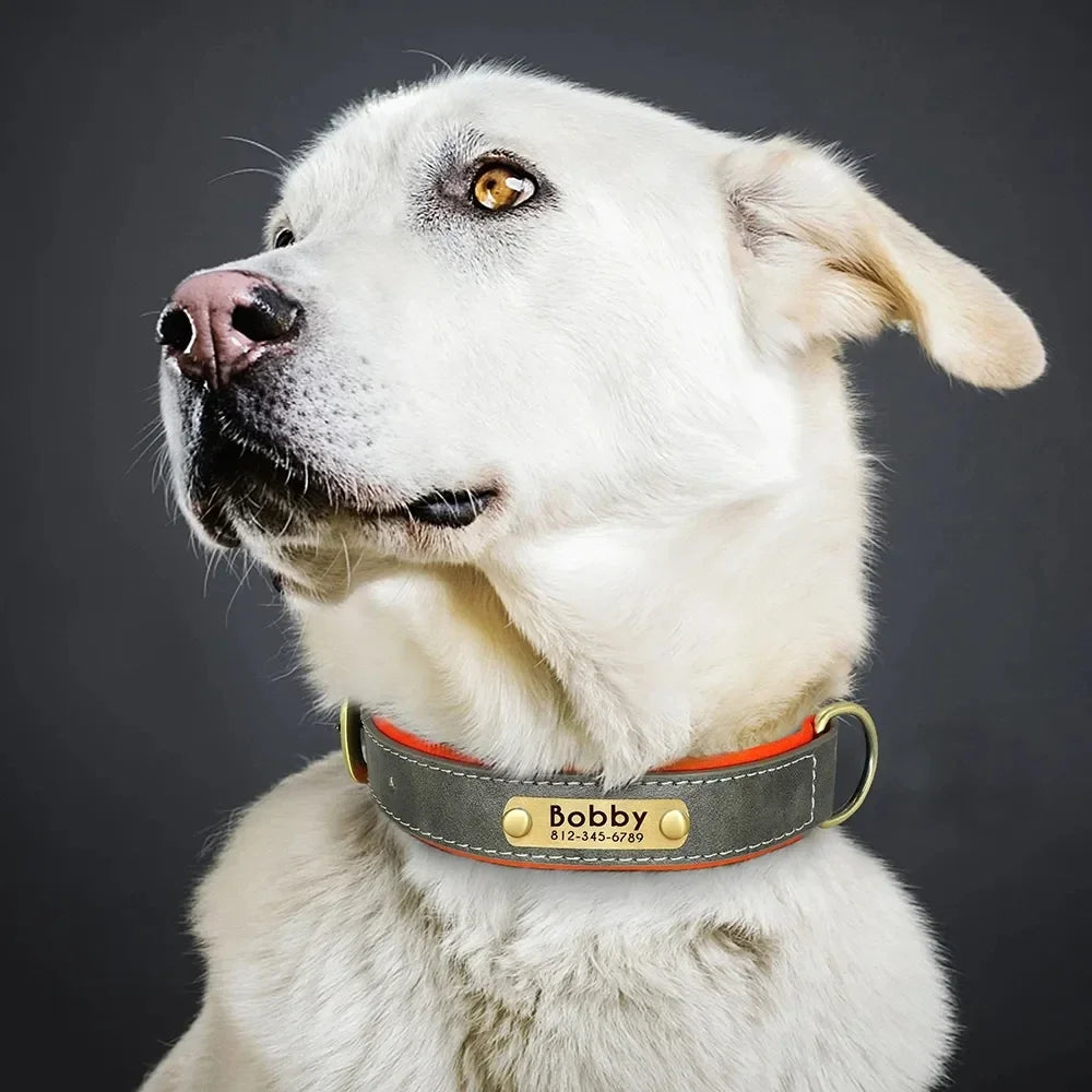 Personalized Customized Leather ID Nameplate Dog Collar Soft Padded Dogs Collars Free Engraving Name for Small Medium Large Dogs Beauty World Shop
