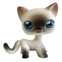 CAT 5