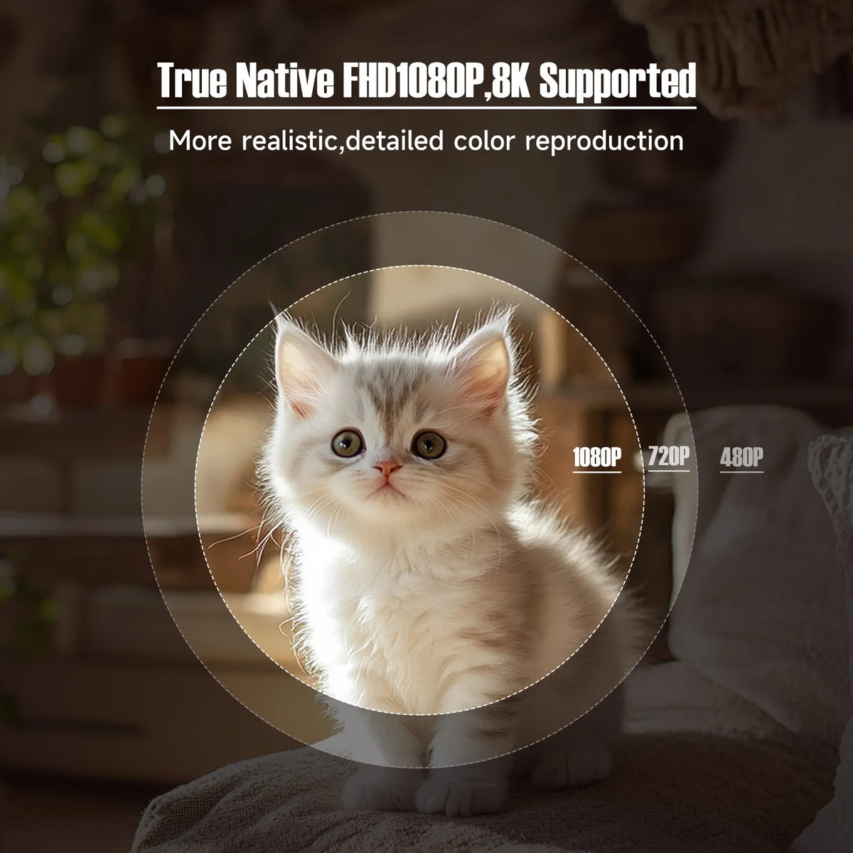 Magcubic L018 650ANSI 1080P Native Projector, 360° Rotation, Auto Focus & 6D Keystone, Android 14 WiFi6 BT5.4 8K Decoding Portable Beauty World Shop