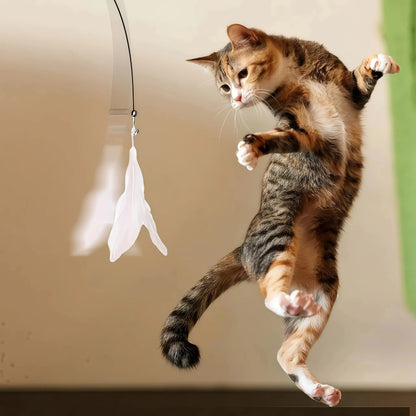 Pet Cat Toys Cute Funny Rainbow Strips Stick Cat Teaser Wand  Pet Toys for Cats Interactive Toys Cat Supplies Pet Products Beauty World Shop