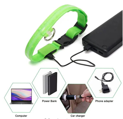 Usb Charging Glowing Dog Collar With Pendant Detachable Luxury Led Light Bright For Small Dogs Cat Night Safety Collar Wholesale Beauty World Shop