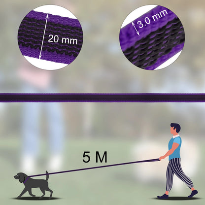 1.5M/2M/5M/3M/15M Medium small Long Dog Leash Latex Silk Easy and Convenient Training Big Dual color dog leash 10 meters Beauty World Shop