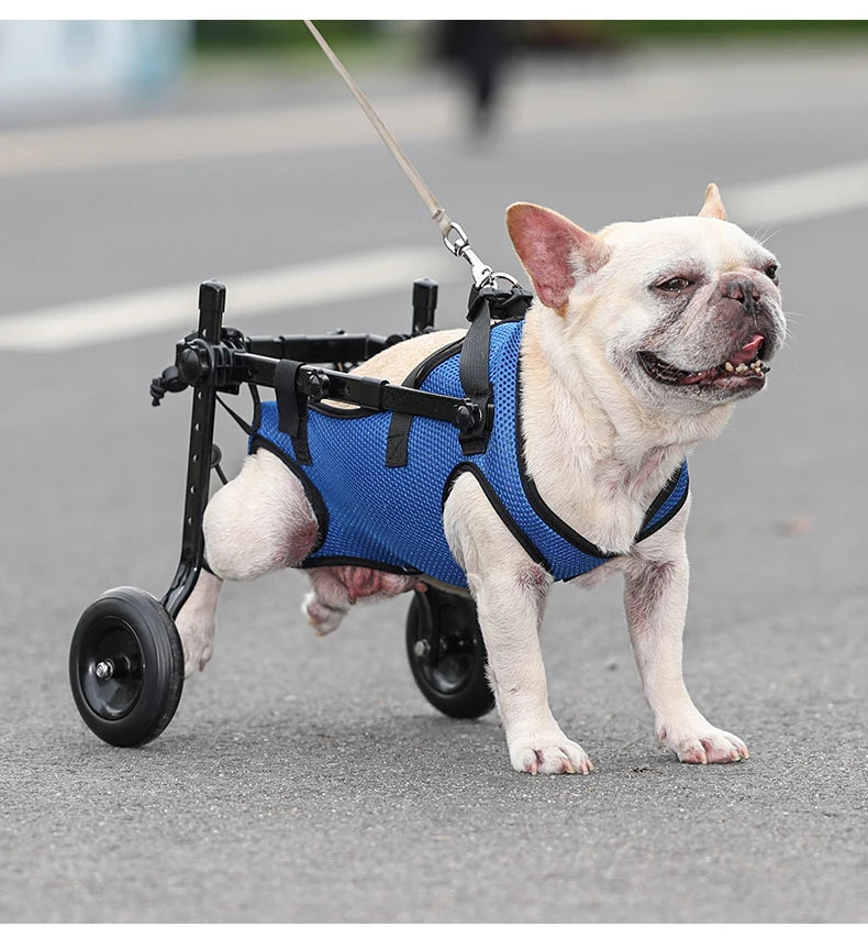 Pet Wheelchair Cart Adjustable Pet Mobility Aids with Wheels Disabled Cat Dog Rehabilitation Walking Mobility Aid Troll Beauty World Shop