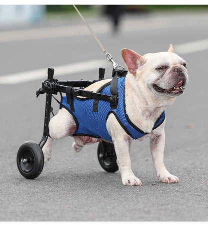 Pet Wheelchair Cart Adjustable Pet Mobility Aids with Wheels Disabled Cat Dog Rehabilitation Walking Mobility Aid Troll Beauty World Shop